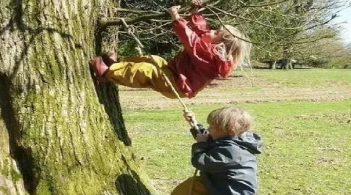 英國(guó)森林幼兒園日常教學(xué)給我國(guó)學(xué)前教育的啟示